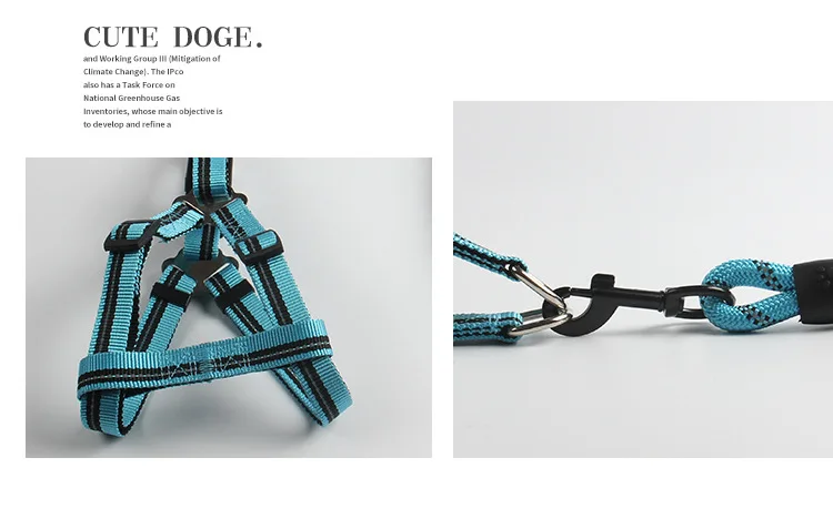The manufacturer of pet reflective chest strap leash, multi-color optional sustainable use leash for dogs