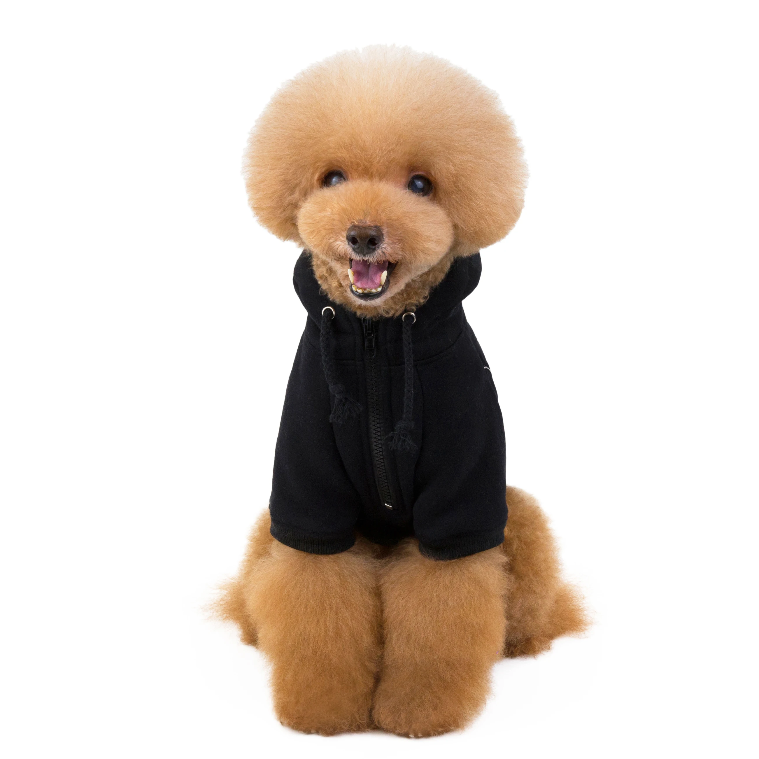 New Pet Winter Clothes Dog Hoodies Casual Sports Plain Pet Sweater Puppy Coats Best Selling Dog Clothes Factory Wholesale