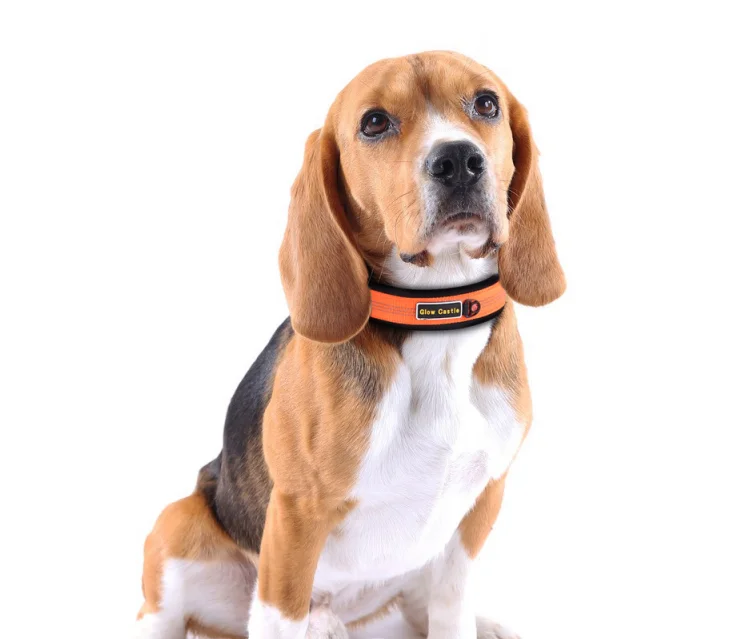 Glow In The Dark Pin Neoprene Design Big Reflective Nylon Wholesale Dog Collar Manufacturer Custom Training For Sale Dog Collar