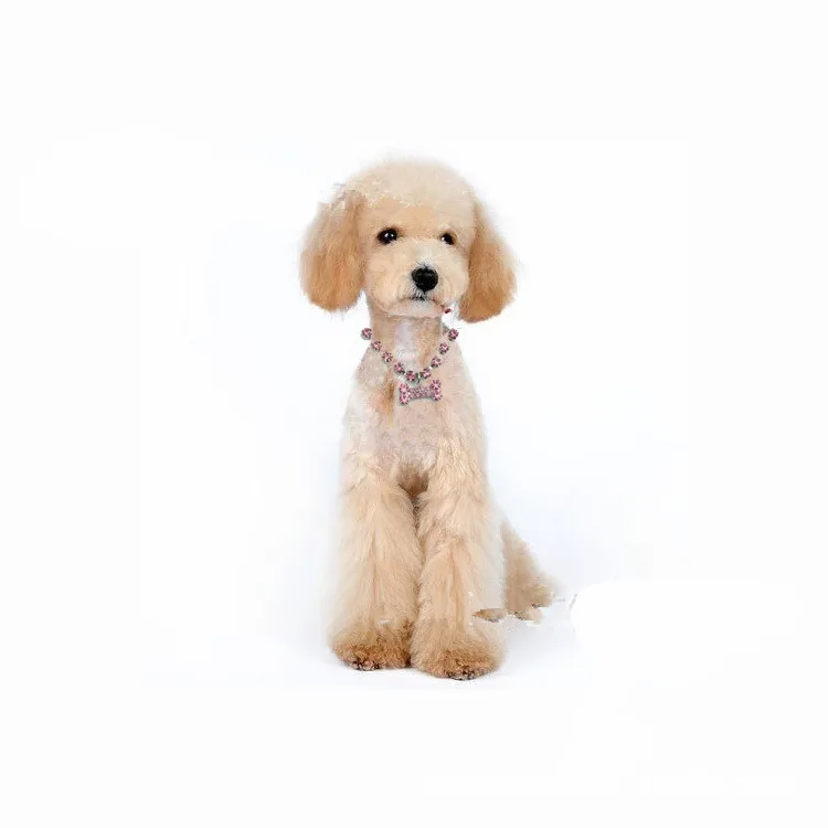 Fashionable pet dog accessory rhinestone necklace jewelry collar for cat
